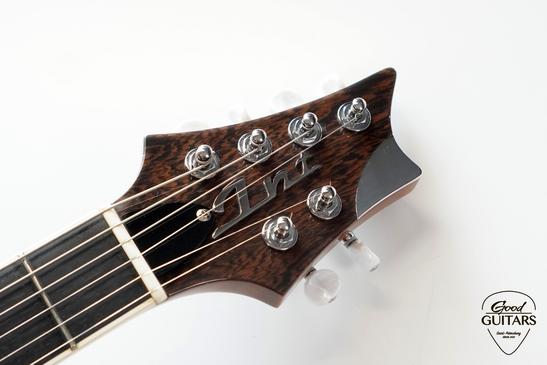 INT Guitars Semi Hollow Body TSB #635123