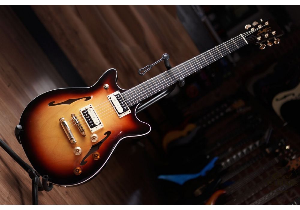Loginov Semi-Hollow Body #598238