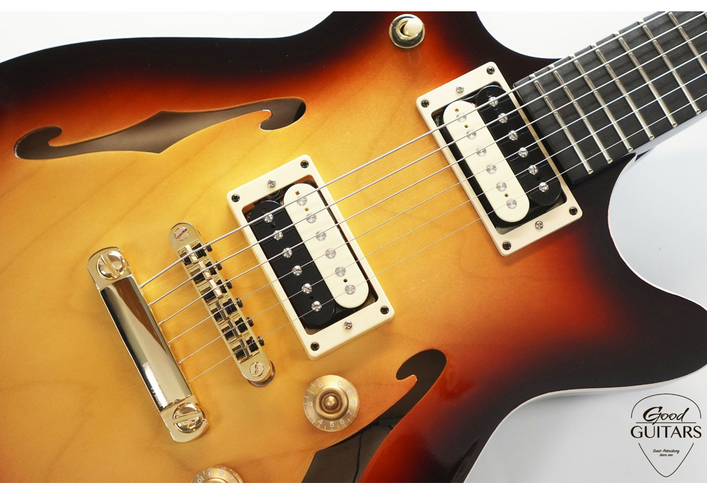 Loginov Semi-Hollow Body #598217