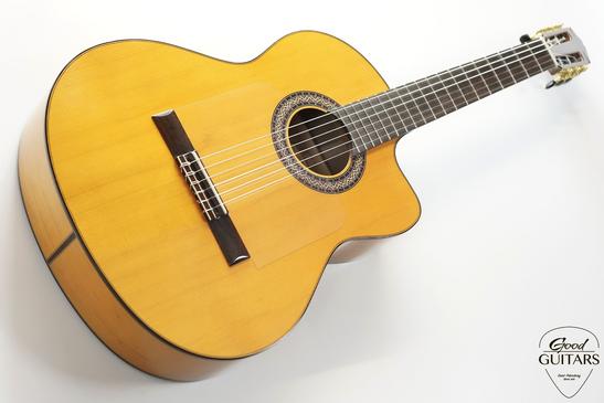 GMD Fusion Flamenco #595586
