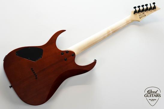 Ibanez GRGR221PA-AQB #620324