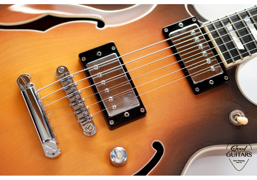 INT Guitars Semi Hollow Body TSB #635105
