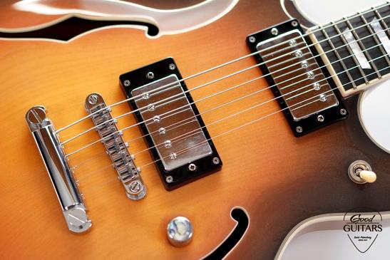 INT Guitars Semi Hollow Body TSB #635105