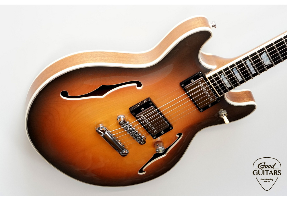INT Guitars Semi Hollow Body TSB #635099