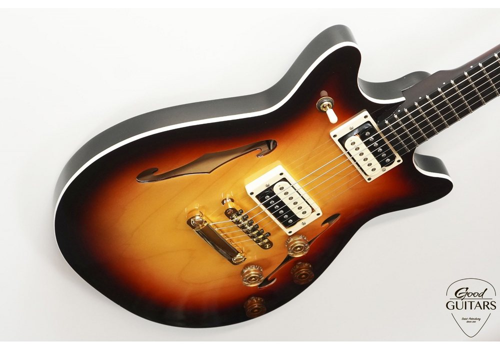 Loginov Semi-Hollow Body #598211