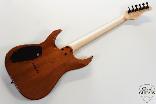 Schecter C-6 Pro AQB #624083