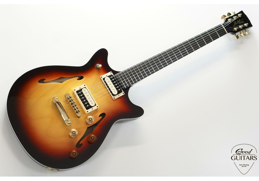 Loginov Semi-Hollow Body #598205