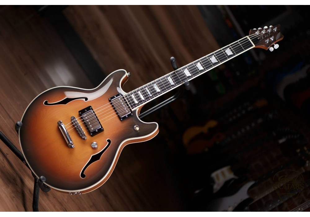 INT Guitars Semi Hollow Body TSB #635126