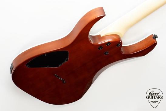 Ibanez GRGR221PA-AQB #620327