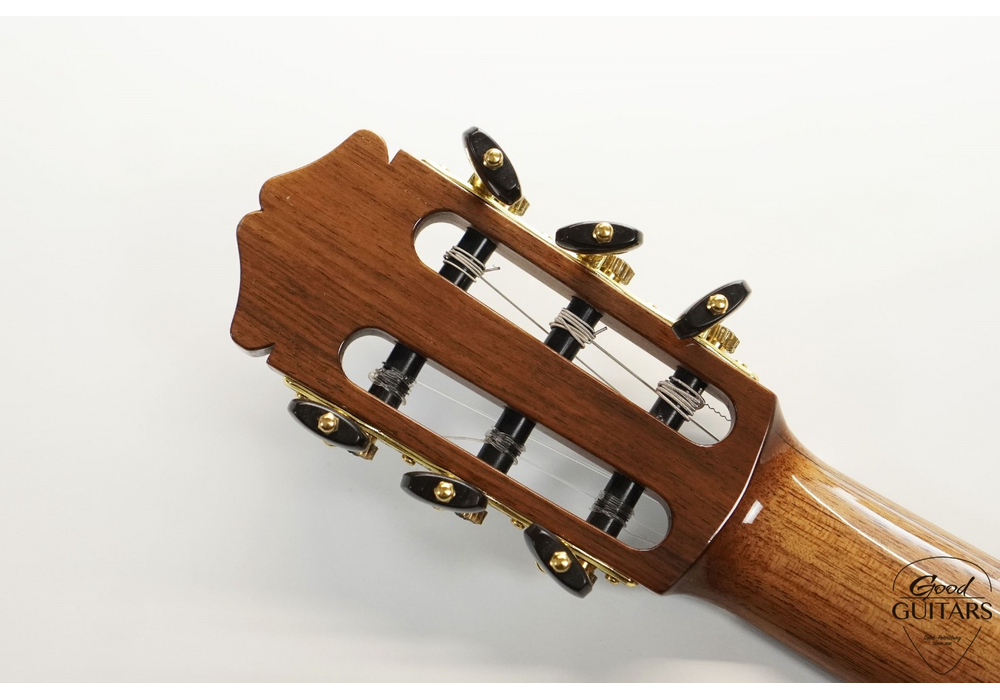 GMD Fusion Flamenco #595613
