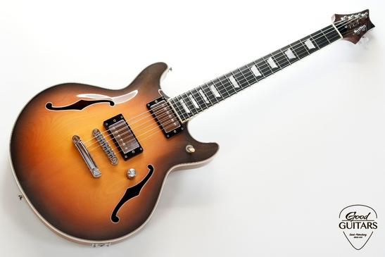 INT Guitars Semi Hollow Body TSB #635093